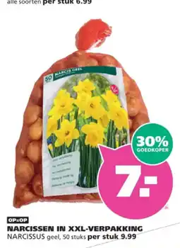 Ranzijn narcissen in xxl-verpakking aanbieding