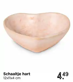Xenos Schaaltje hart aanbieding