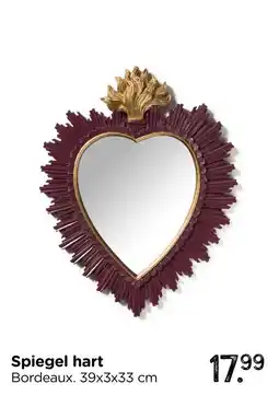 Xenos Spiegel hart aanbieding