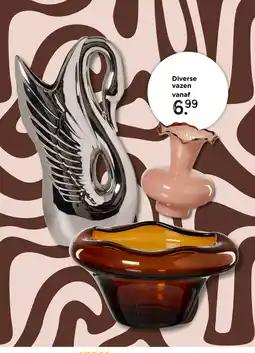 Xenos Diverse Vazen aanbieding