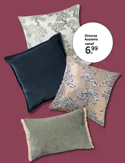 Xenos Diverse kussens aanbieding
