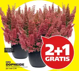 Tuinland DOPHEIDE aanbieding