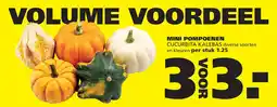 Ranzijn Mini Pompoenen Cucurbita Kalebas aanbieding