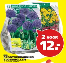 Tuinland Grootverpakking Bloembollen aanbieding