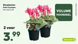 Pets Place Patio Cyclaam aanbieding