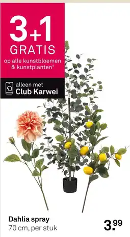 Karwei Club Karwei Dahlia spray aanbieding