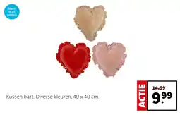 Intratuin Kussen hart aanbieding