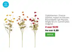 Intratuin Zijdebloemen aanbieding
