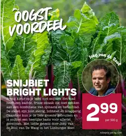 Ekoplaza snijsbiet bright lights aanbieding