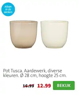 Intratuin Pot Tusca aanbieding