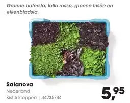 HANOS Salanova aanbieding
