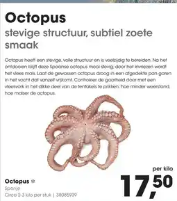 HANOS Octopus aanbieding