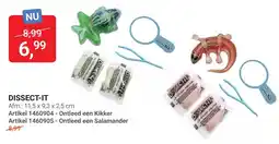Lobbes Dissect-it Ontleed een Kikker aanbieding