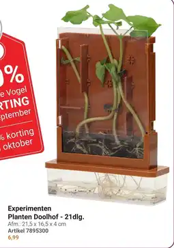 Lobbes Experimenten Planten Doolhof aanbieding