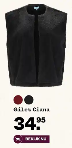 Welkoop Gilet Ciana aanbieding