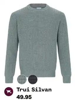 Welkoop Trui Silvan aanbieding