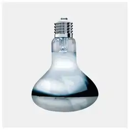 Pets Place Arcadia 2nd Generation Uv Basking Lamp - Verwarming - 100 Watt aanbieding