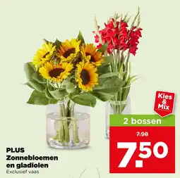 PLUS Plus zonnebloemen en gladiolen aanbieding