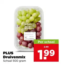 PLUS Plus druivenmix aanbieding