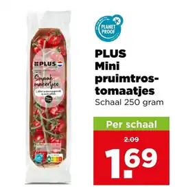 PLUS Plus mini pruimtros-tomaatjes aanbieding