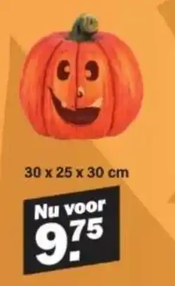 Van Cranenbroek pompoen aanbieding