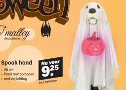 Van Cranenbroek Spook hond aanbieding
