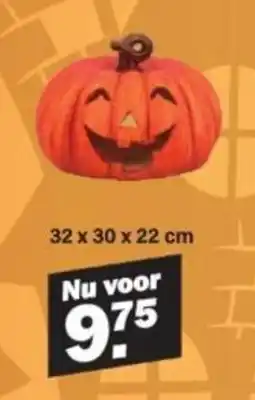 Van Cranenbroek Pompoen aanbieding