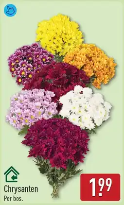 ALDI Chrysanten aanbieding