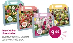 Coppelmans Eye-Catcher bloembollen aanbieding
