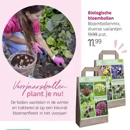 Coppelmans Biologische bloembollen aanbieding