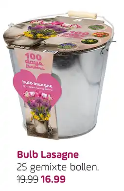 Coppelmans Bulb Lasagne aanbieding