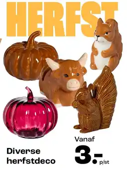 Kwantum Diverse herfstdeco aanbieding