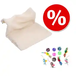 Zooplus Combi Deal: Radiatorhangmat Relax + Kattenspeelgoed-Set met Ballen & Muizen aanbieding