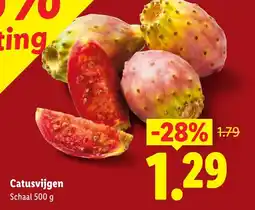 Lidl Catusvijgen aanbieding