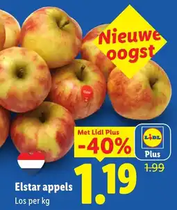 Lidl Elstar appels aanbieding