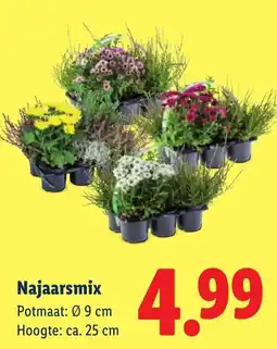 Lidl Najaarsmix aanbieding