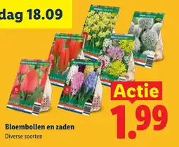 Lidl Bloembollen en zaden aanbieding