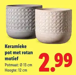 Lidl Keramieke pot met rotan motief aanbieding