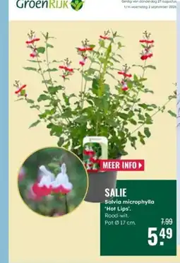 GroenRijk GroenRijk Salie aanbieding