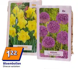 Action Bloembollen aanbieding