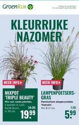 GroenRijk GroenRijk Mixpot 'Triple Beauty' aanbieding