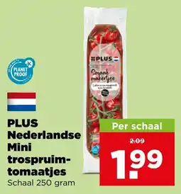 PLUS Plus nederlandse mini trospruim-tomaatjes aanbieding