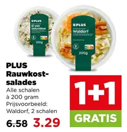 PLUS Plus rauwkostsalades aanbieding