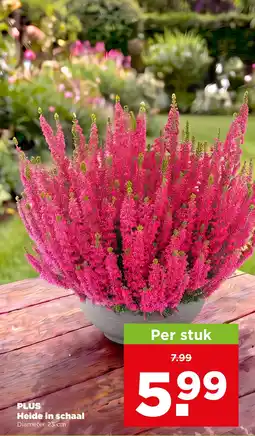 PLUS Plus heide in schaal aanbieding