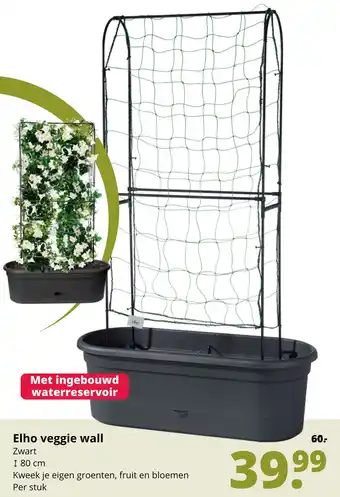 GroenRijk Elho veggie wall aanbieding