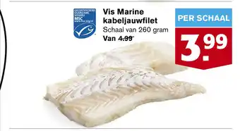 Hoogvliet Vis Marine kabeljauwfilet aanbieding