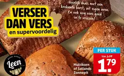 Hoogvliet Multikorn of Sallands Zonnepit aanbieding