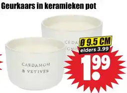Dirk Geurkaars in Keramieken Pot aanbieding