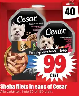 Dirk Sheba filets in saus of Cesar aanbieding