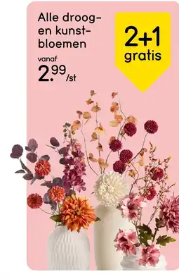 Leen Bakker Alle droog- en kunst-bloemen aanbieding